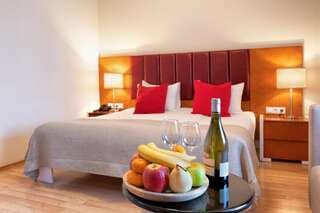 Курортные отели Lopota Lake Resort & Spa Напареули Стандартный двухместный номер с 1 кроватью-4